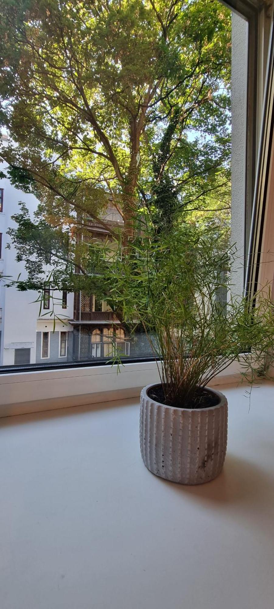 Vienna My City Apartment 1 Bedroom Экстерьер фото